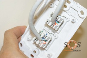 Network Wall Plate Cabling